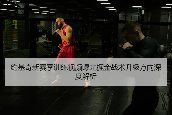 约基奇新赛季训练视频曝光掘金战术升级方向深度解析